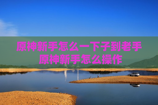 原神新手怎么一下子到老手 原神新手怎么操作