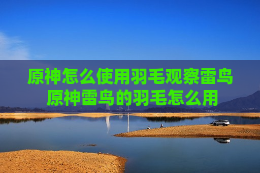 原神怎么使用羽毛观察雷鸟 原神雷鸟的羽毛怎么用