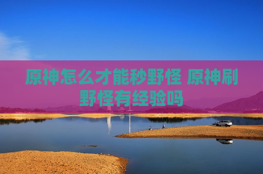 原神怎么才能秒野怪 原神刷野怪有经验吗