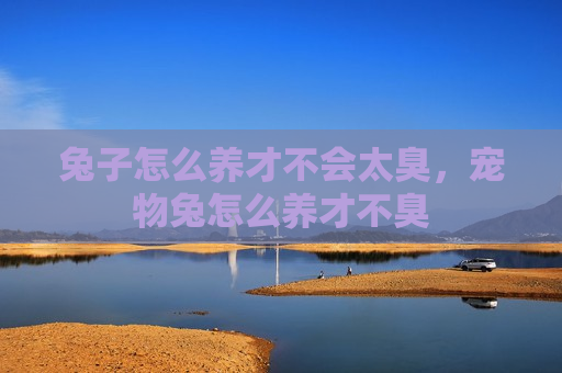 兔子怎么养才不会太臭，宠物兔怎么养才不臭