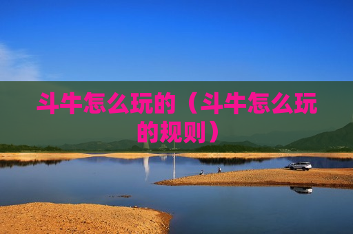 斗牛怎么玩的（斗牛怎么玩的规则）