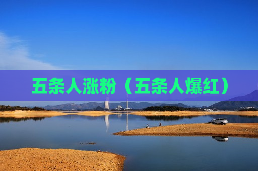 五条人涨粉（五条人爆红）