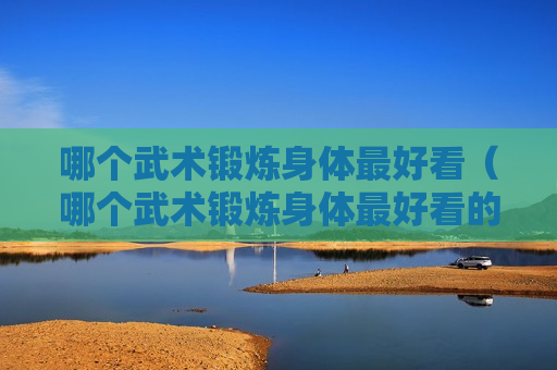 哪个武术锻炼身体最好看（哪个武术锻炼身体最好看的）
