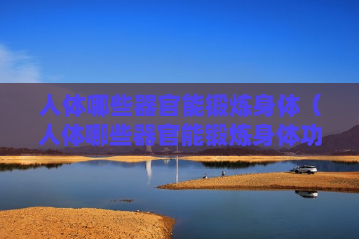 人体哪些器官能锻炼身体（人体哪些器官能锻炼身体功能）