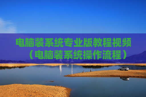 电脑装系统专业版教程视频（电脑装系统操作流程）