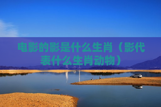 电影的影是什么生肖（影代表什么生肖动物）