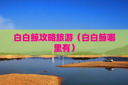白白鲸攻略旅游（白白鲸哪里有）