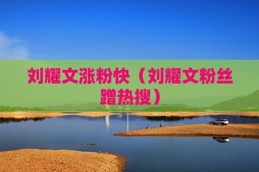 刘耀文涨粉快（刘耀文粉丝蹭热搜）