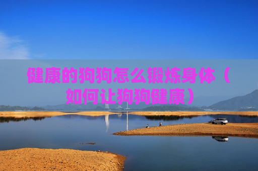 健康的狗狗怎么锻炼身体（如何让狗狗健康）