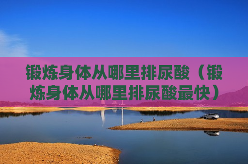 锻炼身体从哪里排尿酸（锻炼身体从哪里排尿酸最快）