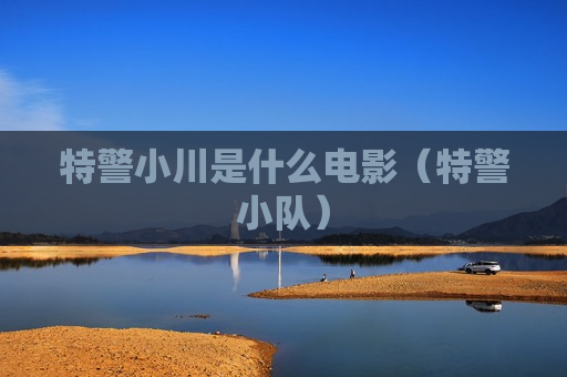 特警小川是什么电影（特警小队）