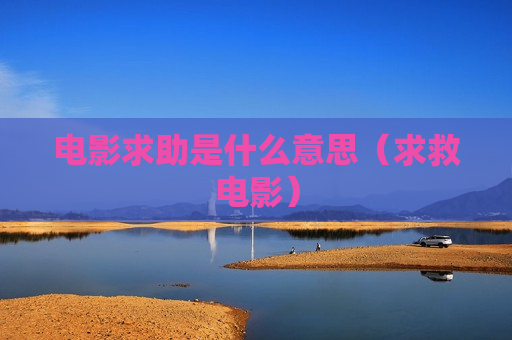 电影求助是什么意思（求救电影）