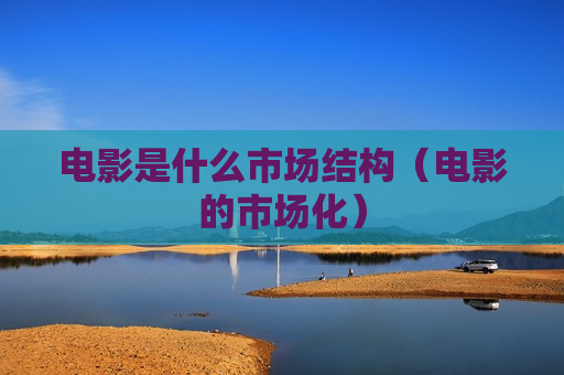 电影是什么市场结构（电影的市场化）