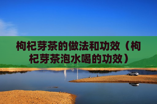 枸杞芽茶的做法和功效（枸杞芽茶泡水喝的功效）
