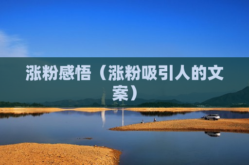 涨粉感悟（涨粉吸引人的文案）