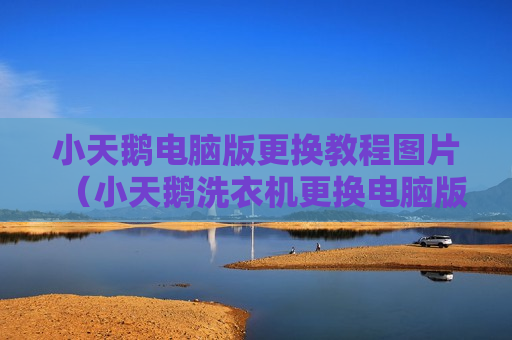 小天鹅电脑版更换教程图片（小天鹅洗衣机更换电脑版视频）