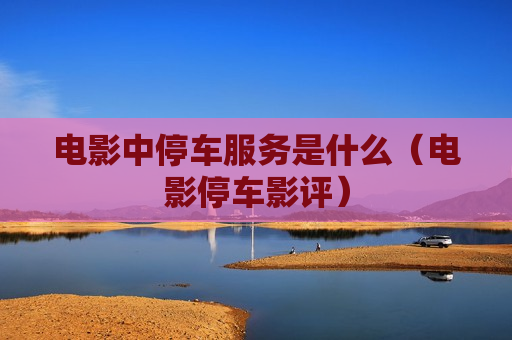 电影中停车服务是什么（电影停车影评）
