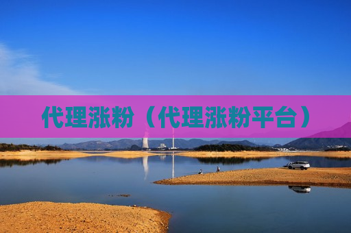 代理涨粉（代理涨粉平台）