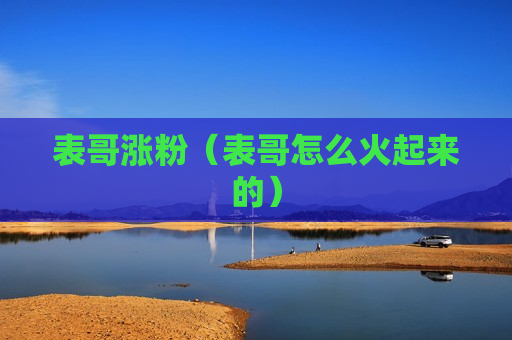 表哥涨粉（表哥怎么火起来的）