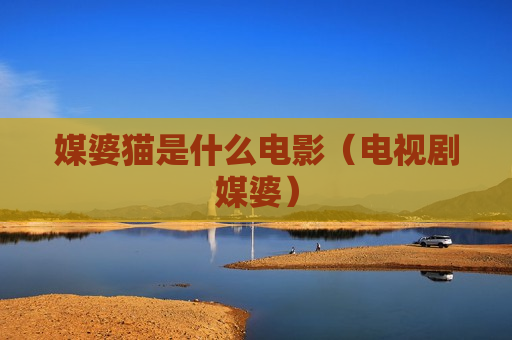 媒婆猫是什么电影（电视剧媒婆）