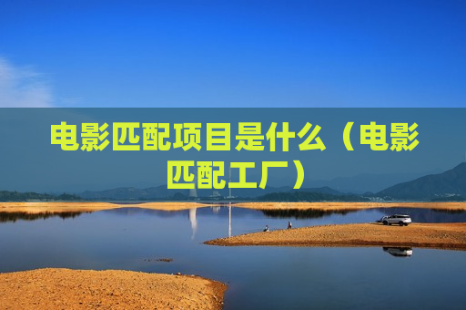 电影匹配项目是什么（电影匹配工厂）