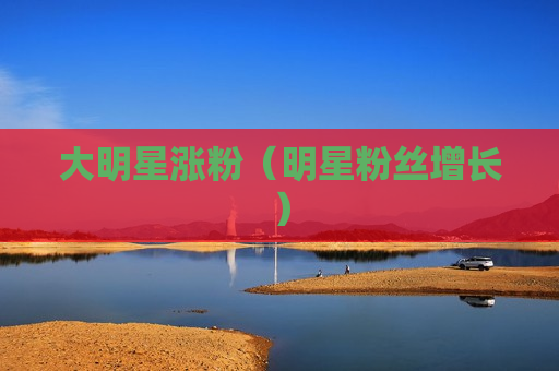 大明星涨粉（明星粉丝增长）
