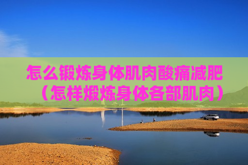 怎么锻炼身体肌肉酸痛减肥（怎样煅炼身体各部肌肉）
