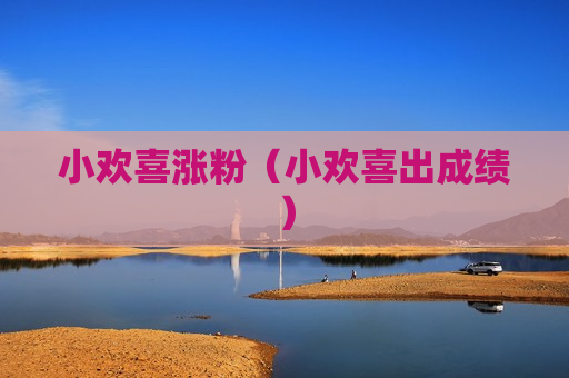 小欢喜涨粉（小欢喜出成绩）