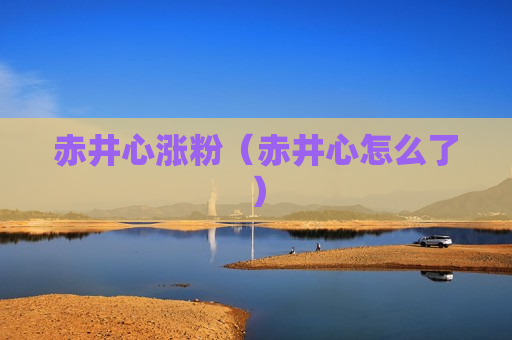 赤井心涨粉（赤井心怎么了）
