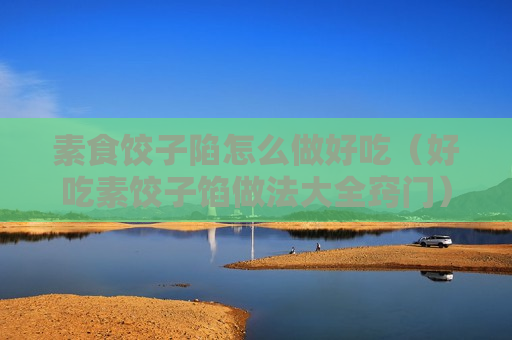 素食饺子陷怎么做好吃（好吃素饺子馅做法大全窍门）