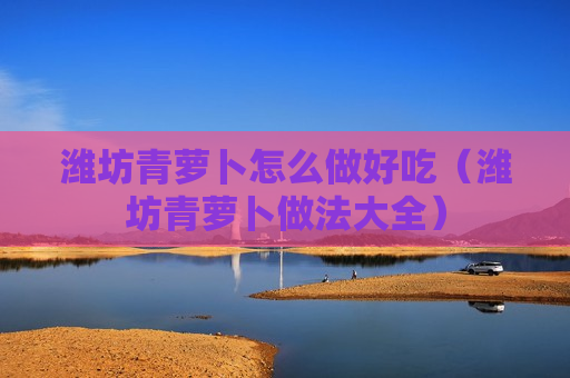 潍坊青萝卜怎么做好吃（潍坊青萝卜做法大全）