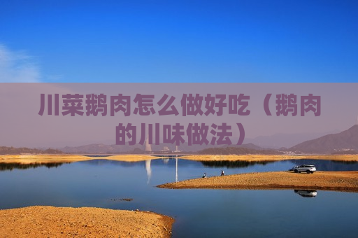 川菜鹅肉怎么做好吃（鹅肉的川味做法）