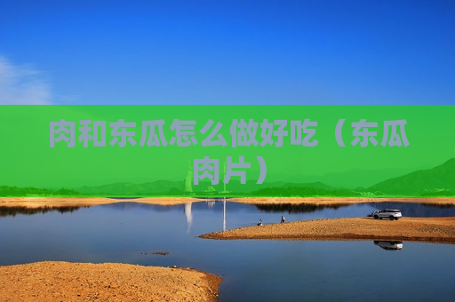 肉和东瓜怎么做好吃（东瓜肉片）