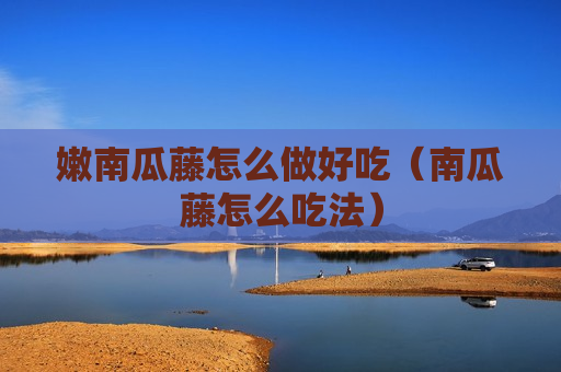 嫩南瓜藤怎么做好吃（南瓜藤怎么吃法）