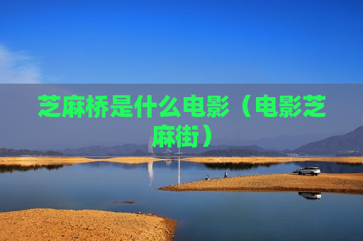芝麻桥是什么电影（电影芝麻街）