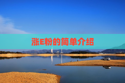 涨E粉的简单介绍