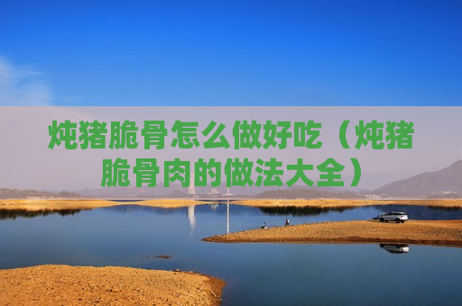 炖猪脆骨怎么做好吃（炖猪脆骨肉的做法大全）