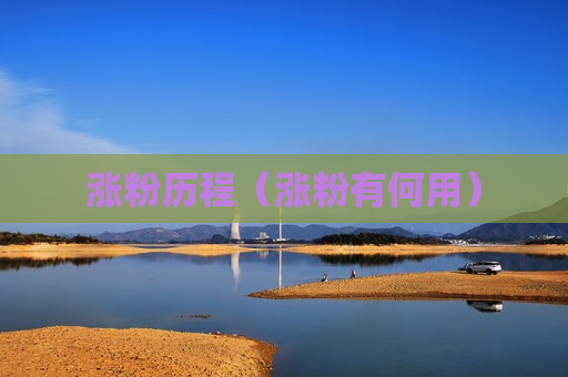 涨粉历程（涨粉有何用）