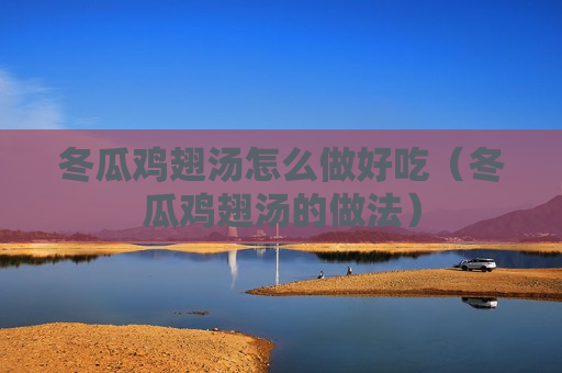 冬瓜鸡翅汤怎么做好吃（冬瓜鸡翅汤的做法）