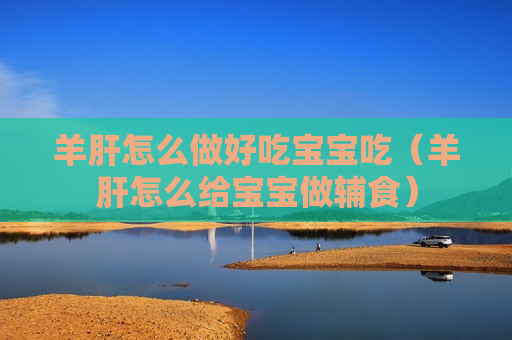 羊肝怎么做好吃宝宝吃（羊肝怎么给宝宝做辅食）