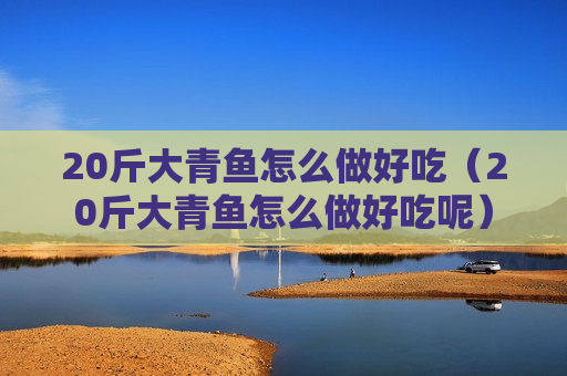 20斤大青鱼怎么做好吃（20斤大青鱼怎么做好吃呢）