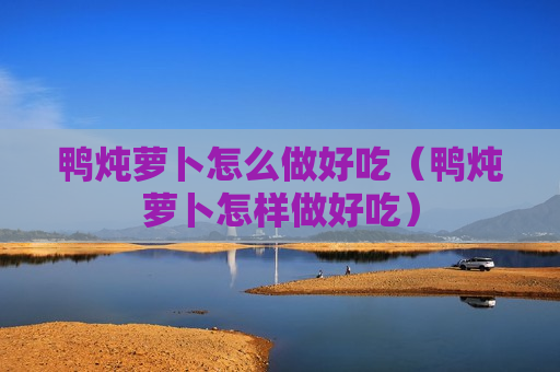 鸭炖萝卜怎么做好吃（鸭炖萝卜怎样做好吃）