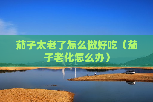 茄子太老了怎么做好吃（茄子老化怎么办）