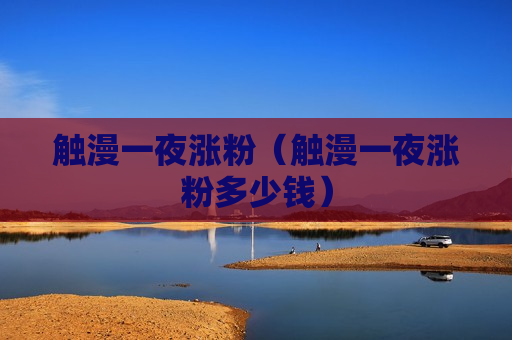 触漫一夜涨粉（触漫一夜涨粉多少钱）