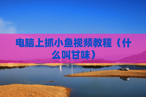 电脑上抓小鱼视频教程（什么叫甘味）