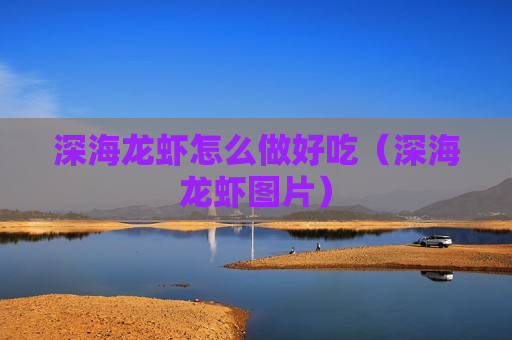 深海龙虾怎么做好吃（深海龙虾图片）