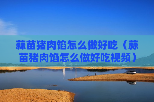 蒜苗猪肉馅怎么做好吃（蒜苗猪肉馅怎么做好吃视频）