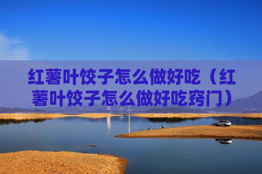 红薯叶饺子怎么做好吃（红薯叶饺子怎么做好吃窍门）