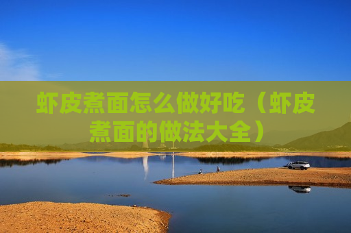 虾皮煮面怎么做好吃（虾皮煮面的做法大全）