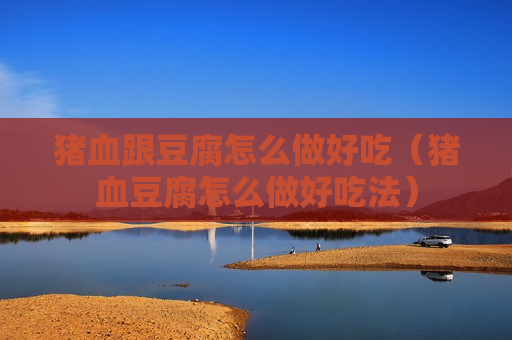 猪血跟豆腐怎么做好吃（猪血豆腐怎么做好吃法）